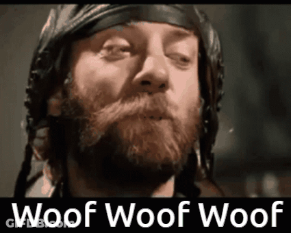 A Man With A Beard Wearing A Helmet With The Words Woof Woof Woof Written Below Him GIF