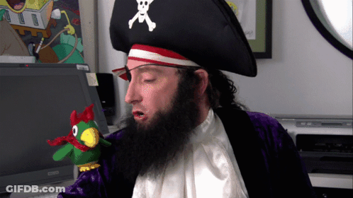 A Man With A Beard Wearing A Pirate Hat And Holding A Stuffed Parrot GIF