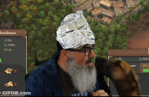 A Man With A Beard Wearing A Tin Foil Hat Is Playing A Video Game GIF