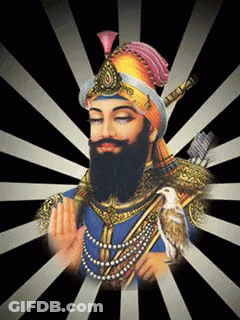 A Man With A Beard Wearing A Turban And Holding A Bird GIF