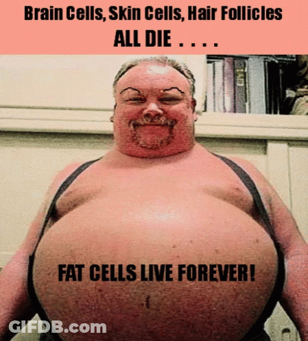 A Man With A Big Belly Has The Words Fat Cells Live Forever Written On His Belly GIF