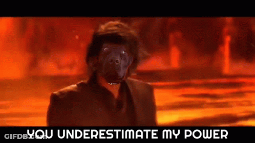 A Man With A Black Dog On His Face Is Standing In Front Of A Fire . GIF