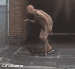 A Man With A Cane Is Walking A Small Dog While Another Man Watches GIF