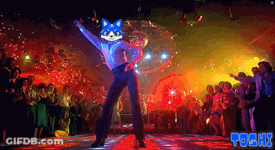 A Man With A Cat On His Head Is Dancing In Front Of A Crowd And The Word Toshi Is On The Bottom Left GIF