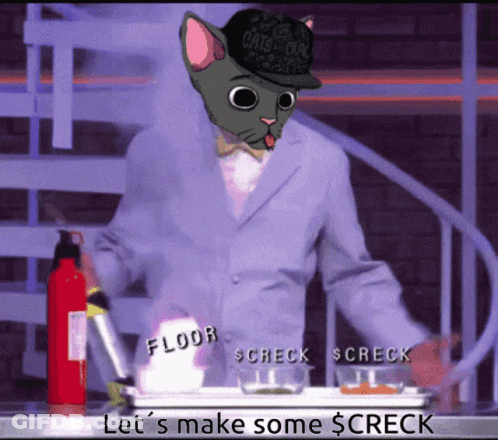 A Man With A Cat On His Head Says Let 'S Make Some $ Crck GIF