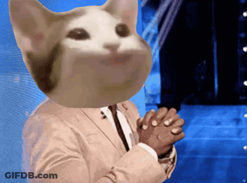 A Man With A Cat 'S Head On His Head GIF