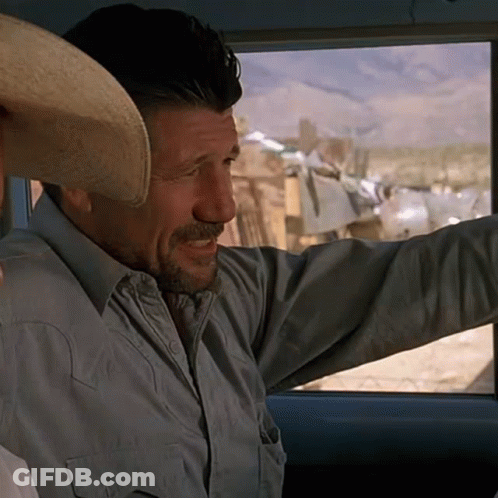 A Man With A Cowboy Hat On His Head Looks Out The Window GIF