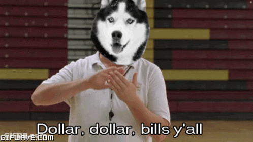A Man With A Husky Dog On His Head Says Dollar Dollar Bills Y'all GIF