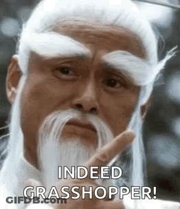 A Man With A Long White Beard And Mustache Is Pointing At Something . GIF