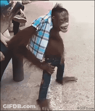 A Man With A Monkey On His Back Is Being Held By Another Man .. GIF