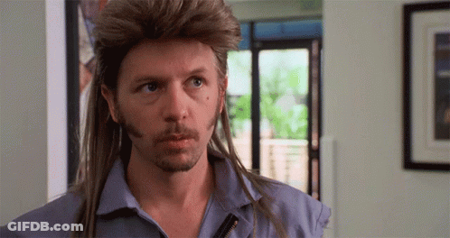 A Man With A Mullet And A Beard Is Looking At The Camera GIF
