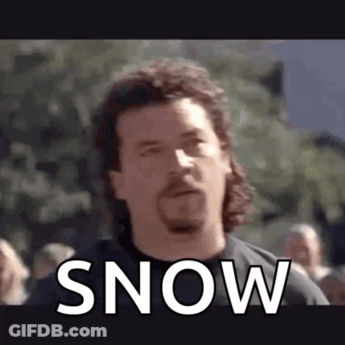 A Man With A Mullet And A Beard Is Standing In Front Of A Crowd And The Word Snow Is On His Face . GIF