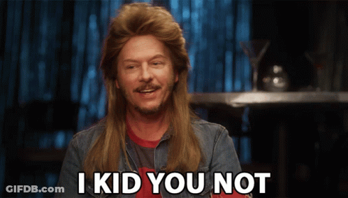 A Man With A Mullet And A Beard Says I Kid You Not GIF