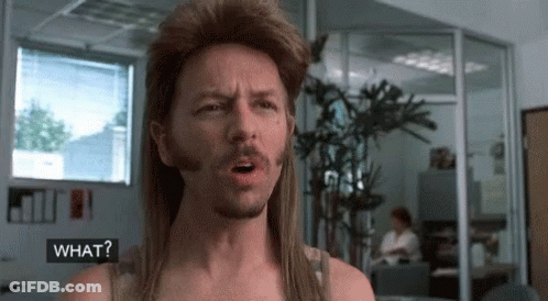 A Man With A Mullet And A Beard Says What GIF