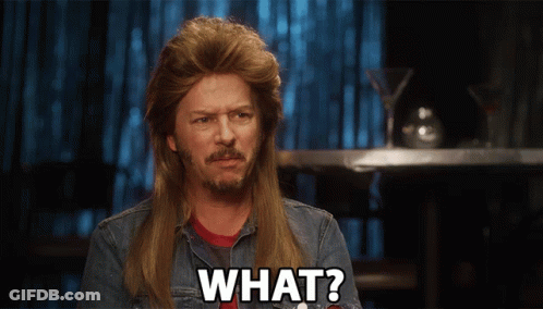 A Man With A Mullet And A Beard Says " What " GIF