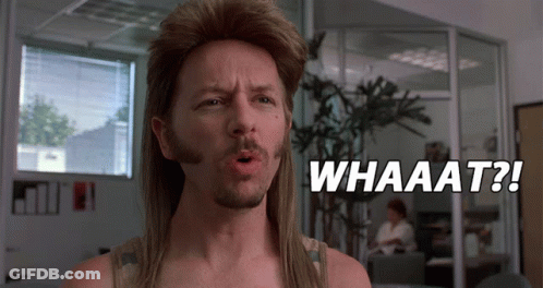 A Man With A Mullet Says Whaaat In Front Of A Window GIF