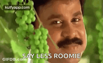 A Man With A Mustache Is Holding A Bunch Of Grapes In His Mouth . GIF
