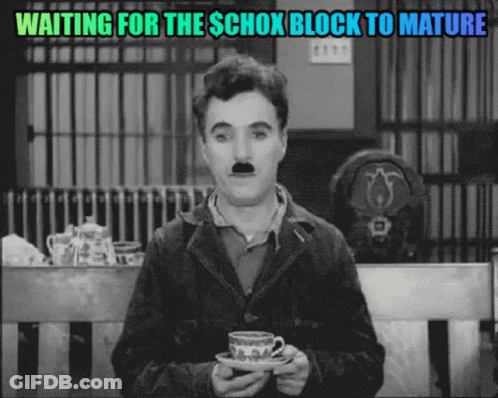 A Man With A Mustache Is Holding A Cup And Saucer And Waiting For The Schox Block To Mature GIF