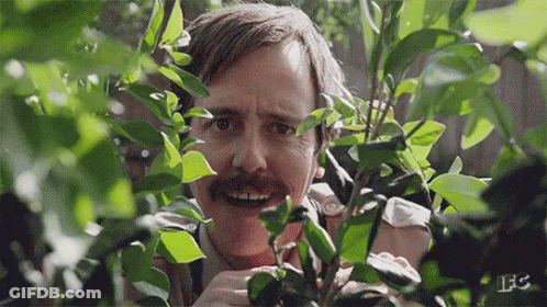 A Man With A Mustache Is Peeking Out From Behind Some Plants . GIF