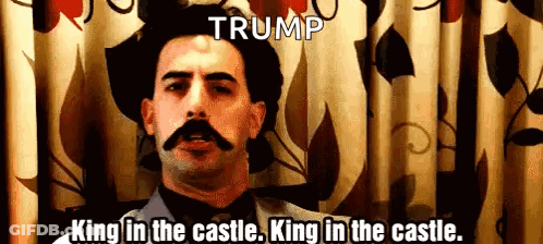 A Man With A Mustache Is Standing In Front Of A Curtain With The Words Trump King In The Castle King In The Castle GIF