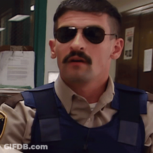 A Man With A Mustache Wearing Sunglasses And A Vest With A Patch That Says ' Police ' On It GIF