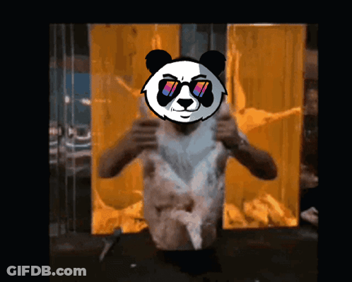 A Man With A Panda Head On His Face GIF