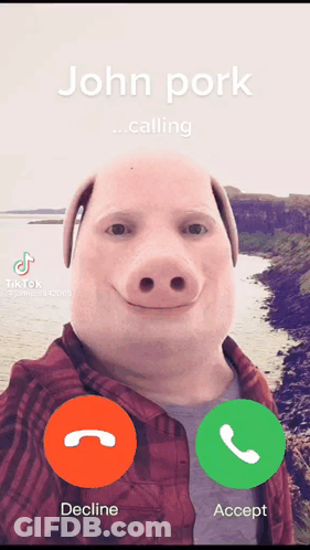 A Man With A Pig Face Is Talking On A Cell Phone GIF