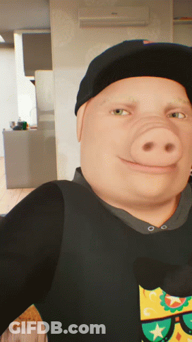 A Man With A Pig Nose Is Wearing A Hat And Sunglasses GIF