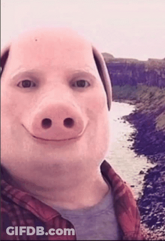 A Man With A Pig 'S Face Is Smiling In Front Of A River GIF