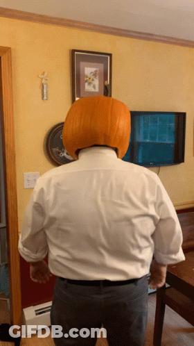 A Man With A Pumpkin On His Head In Front Of A Tv GIF