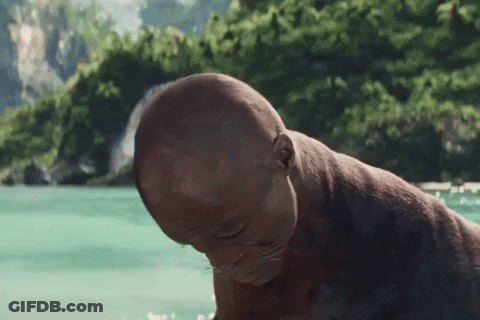 A Man With A Shaved Head Is Standing In Front Of A Body Of Water With Trees In The Background GIF