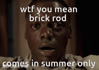A Man With A Surprised Look On His Face Has The Words Wtf You Mean Brick Rod Comes In Summer Only GIF