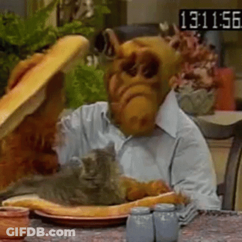 A Man With An Alf Mask Is Sitting At A Table With A Cat And A Sandwich . GIF