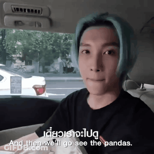 A Man With Blue Hair Is Sitting In The Back Seat Of A Car With The Words " And Then We 'Ll Go See The Pandas " GIF