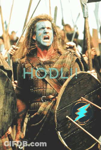 A Man With Blue Paint On His Face Is Holding A Sword And Shield And The Word Hodl Is Above Him GIF