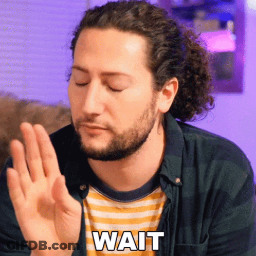 A Man With Curly Hair And A Beard Is Making A Gesture With His Hand And Says Wait GIF