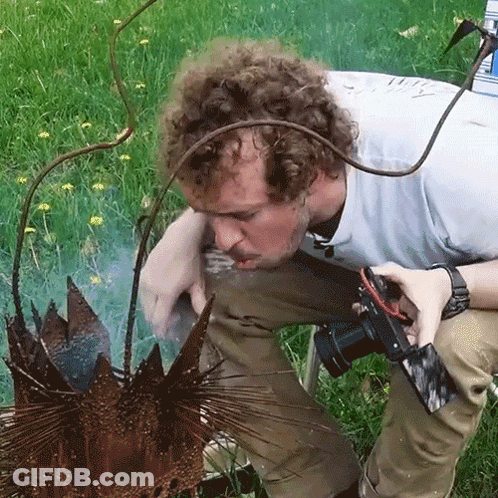 A Man With Curly Hair Is Kneeling Down In The Grass With A Camera GIF