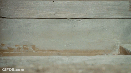 A Man With Curly Hair Is Sticking His Head Out Of A Hole GIF