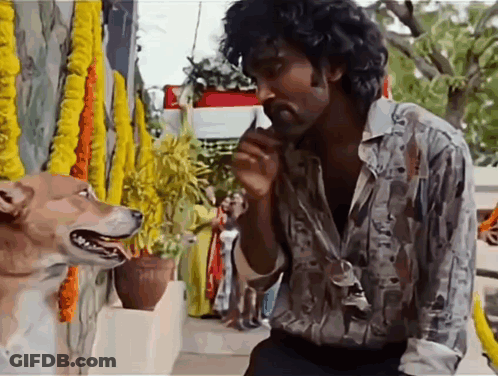 A Man With Curly Hair Is Talking To A Dog That Is Looking At Him GIF