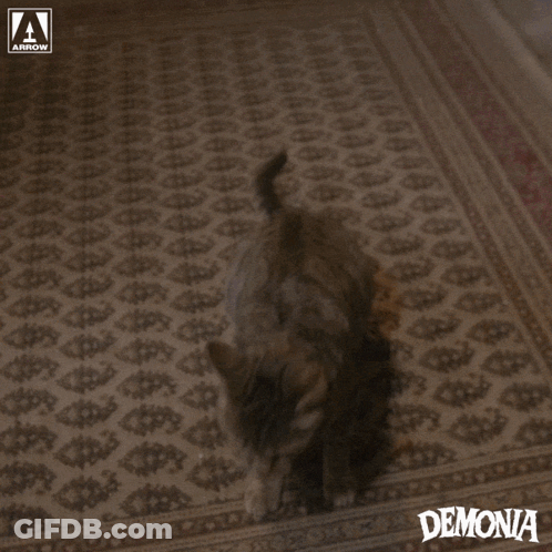 A Man With Demonia Written On The Bottom Of The Image GIF