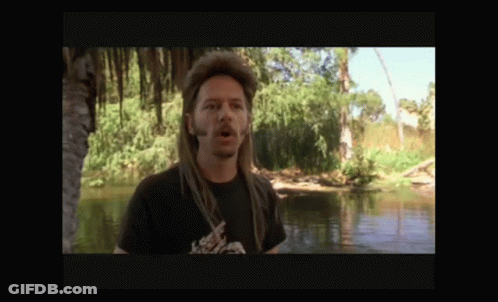 A Man With Dreadlocks And A Beard Is Standing In Front Of A Body Of Water . GIF