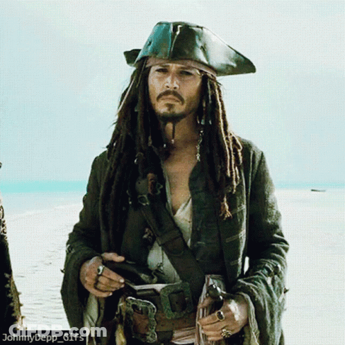 A Man With Dreadlocks And A Pirate Hat Is Standing On A Beach With The Caption Johnny Depp GIF