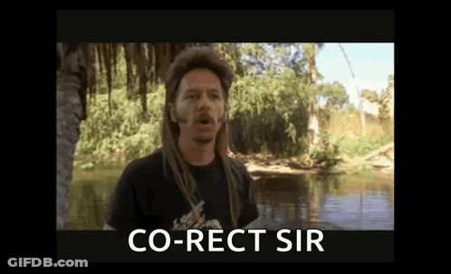 A Man With Dreadlocks Is Standing In Front Of A River And Says `` Co-Rect Sir '' . GIF