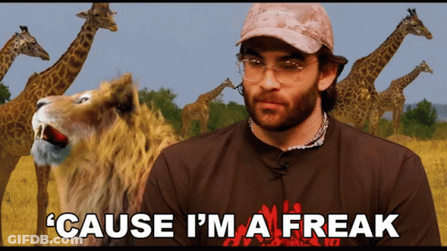 A Man With Giraffes In The Background Says ' Cause I 'M A Freak ' In Front Of A Lion GIF