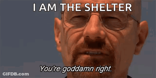 A Man With Glasses And A Beard Says I Am The Shelter GIF