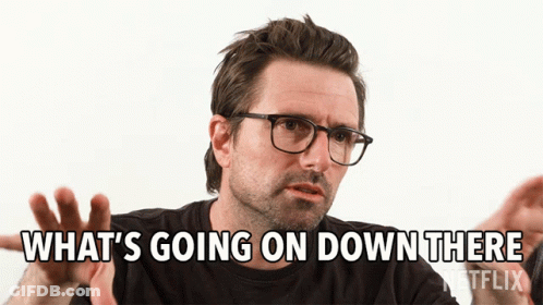 A Man With Glasses And A Beard Says What 'S Going On Down There GIF