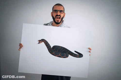 A Man With Glasses Holds Up A Picture Of A Snake GIF
