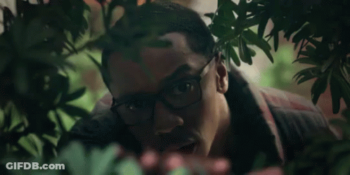 A Man With Glasses Is Peeking Out From Behind A Tree GIF