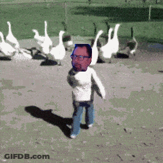 A Man With Glasses Stands In Front Of A Herd Of Geese GIF