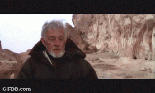 A Man With Gray Hair And A Beard Is Standing In Front Of A Rock Wall GIF